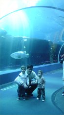 Riley, Daddy, and Caden at the GA Aquarium