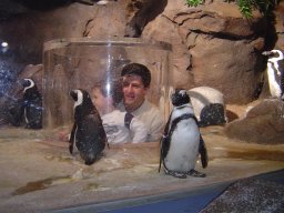 Riley and Daddy with the African penguins