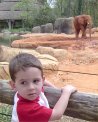 Riley and the Carolina Red Mud Elephant